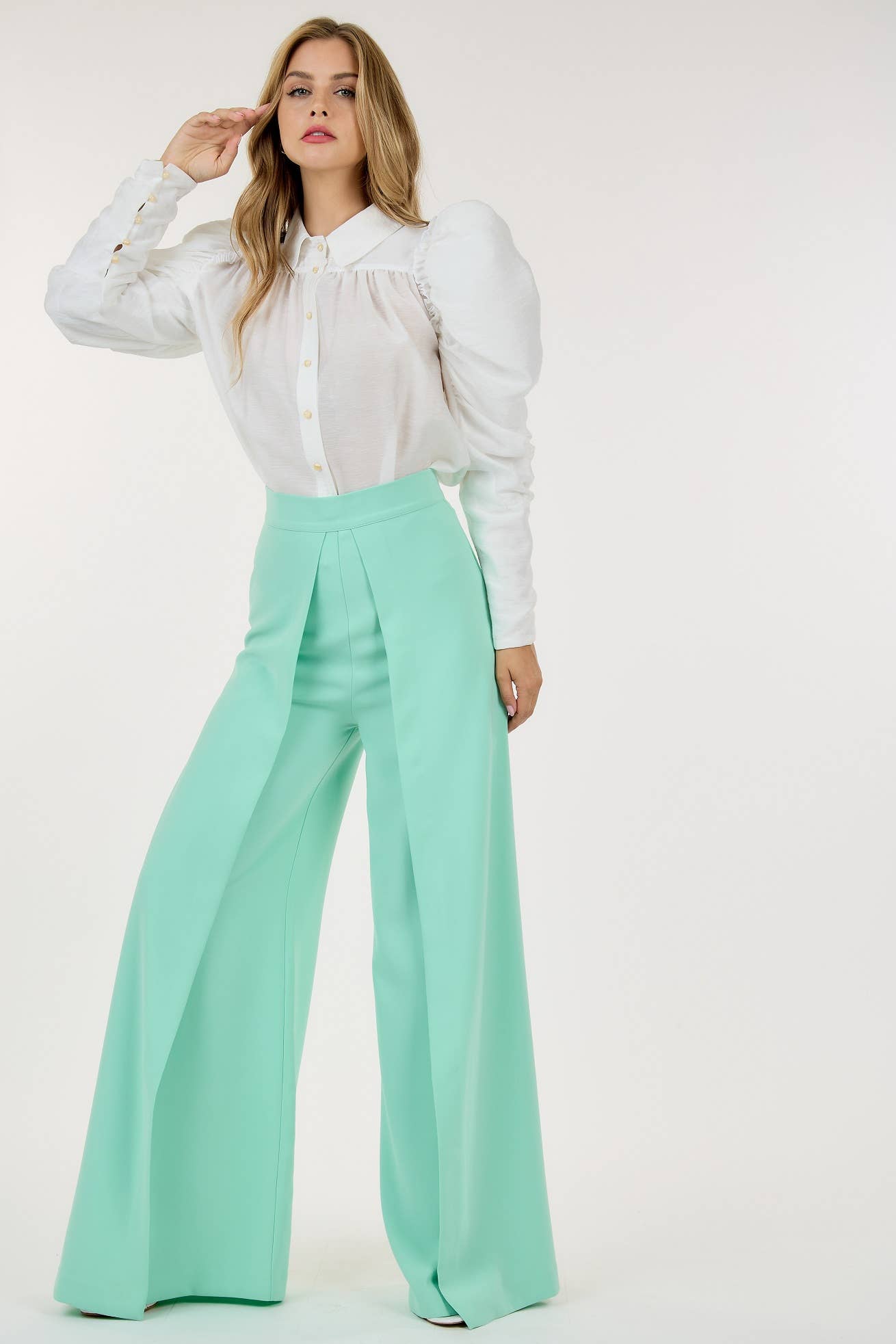 Wide Pleated Palazzo Pants